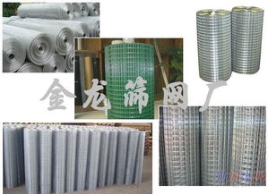 电焊网生产 首供应商 安平县金龙五金筛网厂